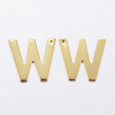 304 Stainless Steel Charms LS-X-STAS-P141-W-1