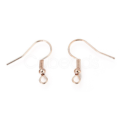 Iron Earring Hooks LS-X-IFIN-EC135-RG-1
