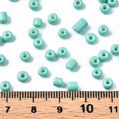 6/0 Glass Seed Beads SEED-S058-A-F439-1