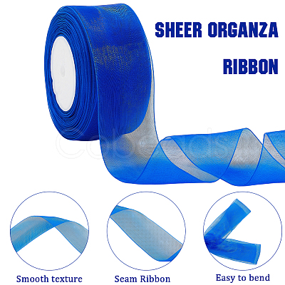 1 Rolls Sheer Organza Ribbon SRIB-CY0001-22C-01-1
