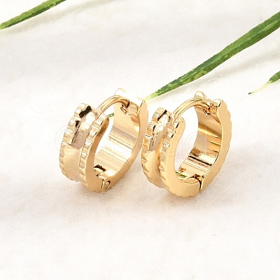 201 Stainless Steel Hoop Earrings SA-CBA4A0D-04G-1