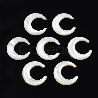 Natural White Shell Connector Charms SSHEL-N034-159-1