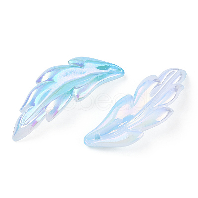 Transparent Acrylic Pendants TACR-TAC0005-03B-1