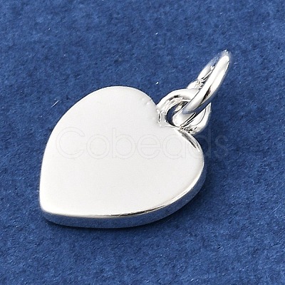 Rack Plating Brass Charms KK-F811-03S-1