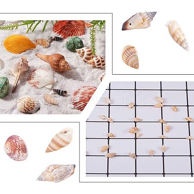 Natural Spiral Shell Beads SSHEL-PH0002-09-1