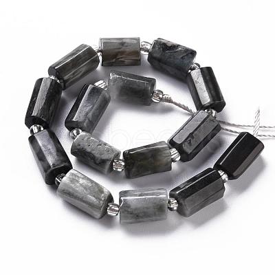 Natural Hawk's Eye Beads Strands G-S345-8x11-009-1