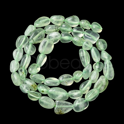 Natural Prehnite Beads Strands G-G018-64-1