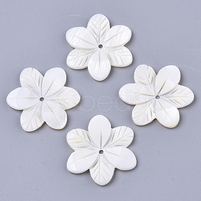 Natural Freshwater Shell Beads SHEL-N026-22-1