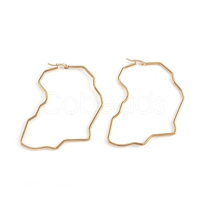 201 Stainless Steel Hoop Earrings EJEW-L243-19A-G-1