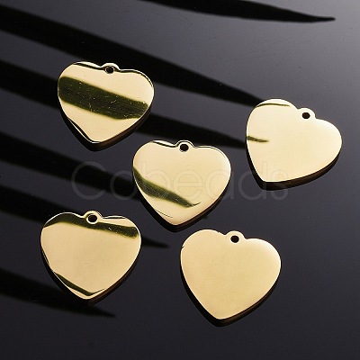 304 Stainless Steel Pendants LS-STAS-I140-10A-G-1