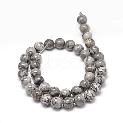 Natural Map Stone Beads Strands G-P075-15-6mm-1