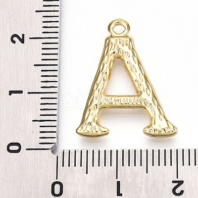 304 Stainless Steel Pendants STAS-N117-01G-A-1