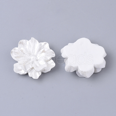 Resin Cabochons X-RESI-S364-46B-1