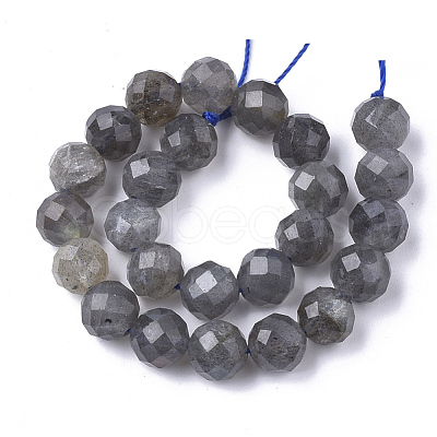 Natural Labradorite Beads Strands G-S345-6mm-005-1