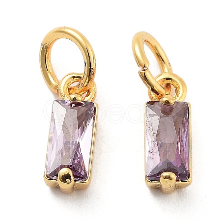 Brass Micro Pave Cubic Zirconia Charms ZIRC-F111-03G-12-1