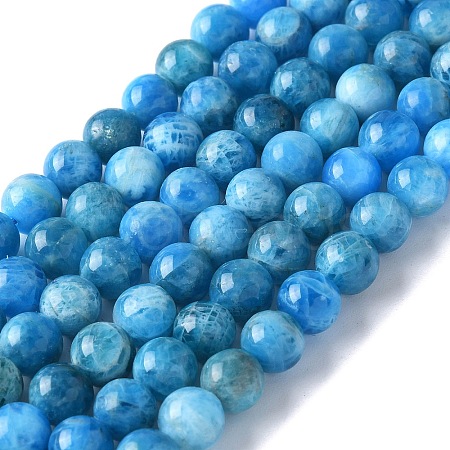 Natural Apatite Beads Strands G-I254-08H-1