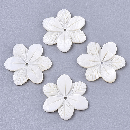 Natural Freshwater Shell Beads SHEL-N026-22-1