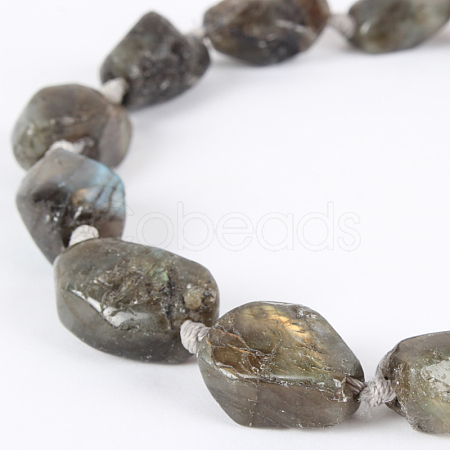 Natural Gemstone Labradorite Rough Nuggets Bead Strands G-E218-04-1