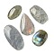 Natural Labradorite Cabochons, Mixed Shapes, 26.5~43.5x16.5~22.5x5.5~7mm