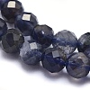 Natural Iolite Beads Strands G-O171-13-5mm-3