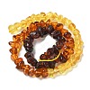 Gradient Color Natural Amber Beads Strands G-K387-F01-01-4