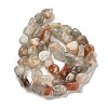 Natural Arusha Sunstone Beads Strands G-P497-01E-43-3