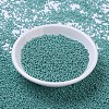 MIYUKI Round Rocailles Beads X-SEED-G007-RR0435-2
