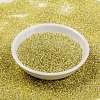 MIYUKI Round Rocailles Beads X-SEED-G009-RR0554-2
