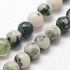 Natural Tree Agate Beads Strands X-G-N0192-01-3mm-3