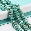 Natural Amazonite Beads Strands G-D091-A20-2