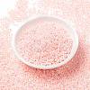 MIYUKI Round Rocailles Beads SEED-X0055-RR0427-2