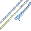 10 Skeins 6-Ply Polyester Embroidery Floss OCOR-K006-A32-3