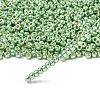 TOHO 6/0 Round Beads X-SEED-TR06-PF0560-2