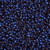 8/0 Glass Seed Beads SEED-S006-2-3
