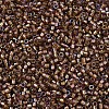 MIYUKI Delica Beads SEED-MY11-DB1759-3