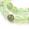 Natural Prehnite Beads Strands X-G-I250-01D-3