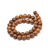 Natural Elephant Skin Jasper/Miriam Stone/Calligraphy Stone Bead Strands G-P075-20-6mm-2