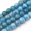 Natural Apatite Beads Strands G-S150-18-10mm-1