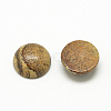 Natural Picture Jasper Cabochons G-R416-12mm-42-2