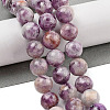 Natural Lepidolite/Purple Mica Stone Beads Strands G-G160-A01-02-2