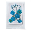 Pressed Dried Flowers DIY-F076-01A-1