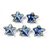 Handmade Porcelain Beads PORC-N008-09L-1