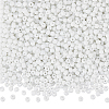 200G Glass Seed Beads SEED-SP0001-14B-01-1