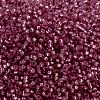 MIYUKI Round Rocailles Beads SEED-X0056-RR0645-3