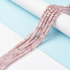 Natural Rhodonite Beads Strands X-G-F631-K20-2