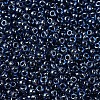 MIYUKI Round Rocailles Beads X-SEED-G007-RR0358-3
