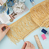 Paillette Tassel Polyester Ribbon Trim OCOR-WH0078-145C-3
