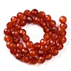 Dyed Natural Agate Beads Strands G-T141-16A-01-3