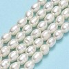 Natural Cultured Freshwater Pearl Beads Strands PEAR-J006-14C-01-2