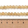Natural Yellow Garnet Beads Strands G-Z129-C01-6mm-02-5